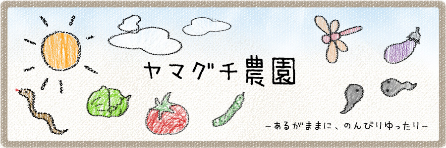 ヤマグチ農園